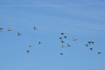 DSC_3059 (Large).JPG